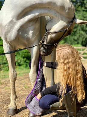 Henry Wag Equine Microfibre Noodle Glove Towel