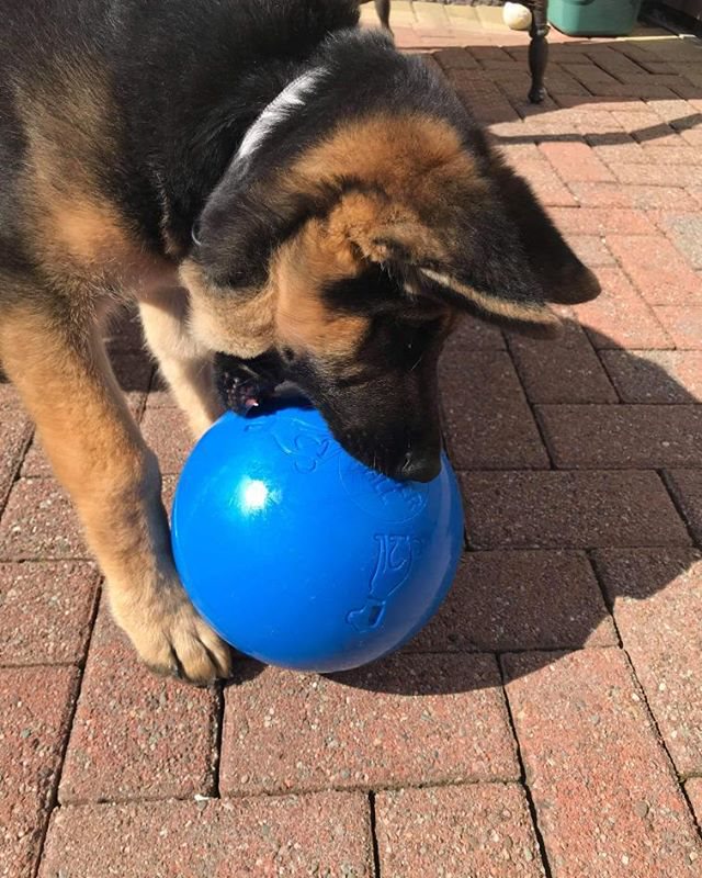 Boomer Ball