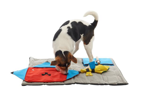 Buster Activity Mat Book Task