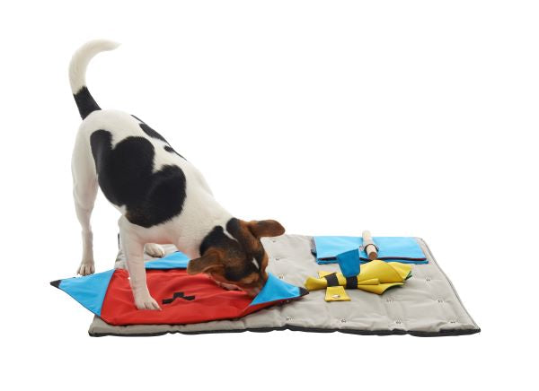 Buster Activity Mat Cone Cloth Task