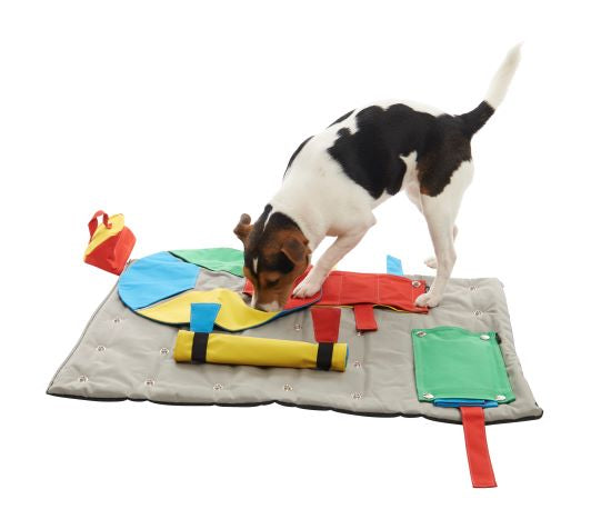 Buster Activity Mat Book Task