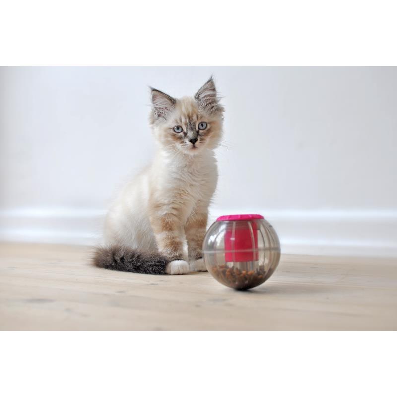 Catmosphere Treat Ball Pink