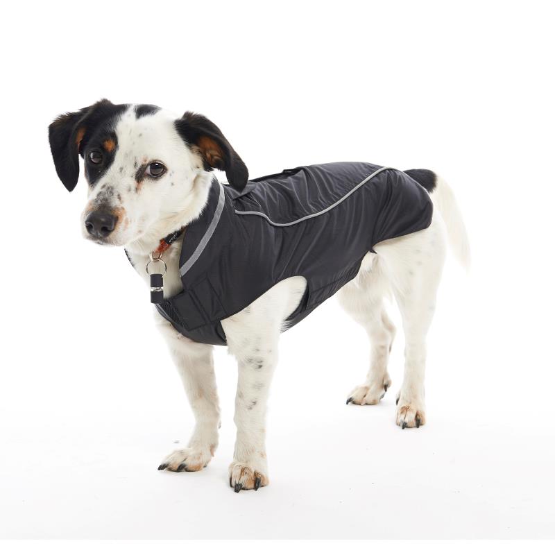 Buster Blackberry Raincoat