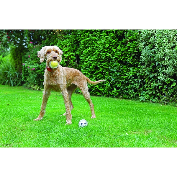 Jolly Doggy Catch & Play Tennis Ball