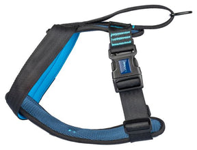 CarSafe Crash Tested Dog Harness