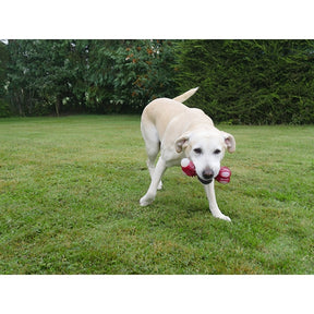 Meaty Bacon Takeaway Bone Large