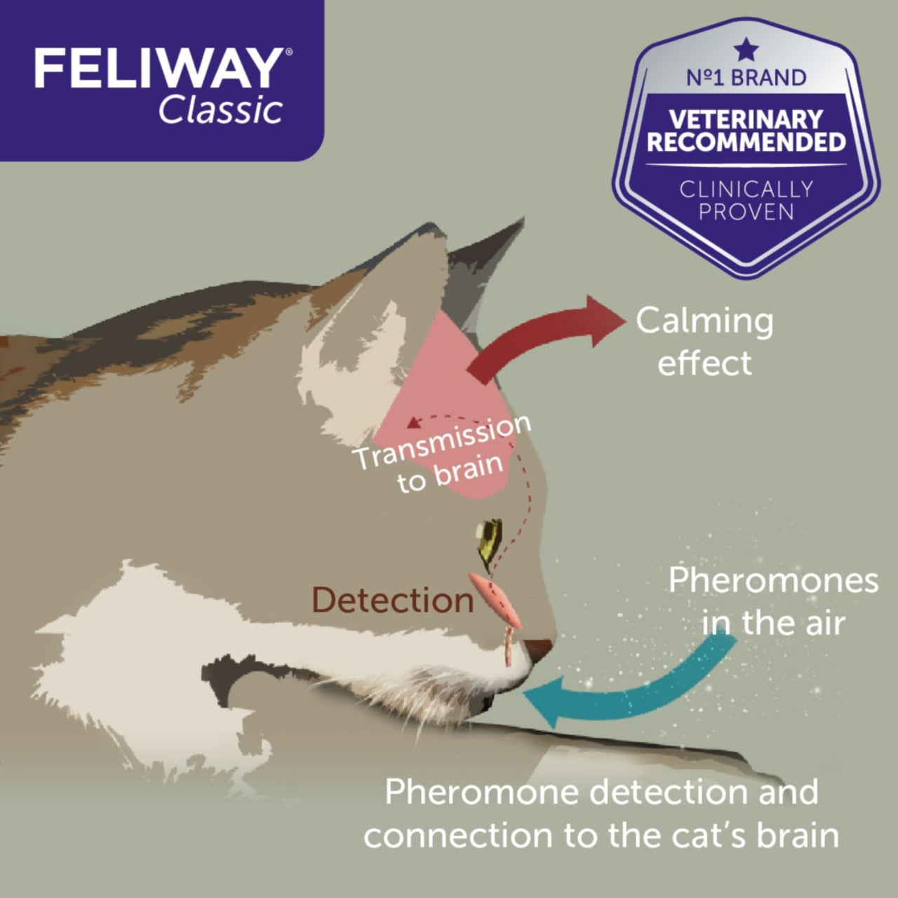 Feliway Classic Diffuser & Refill