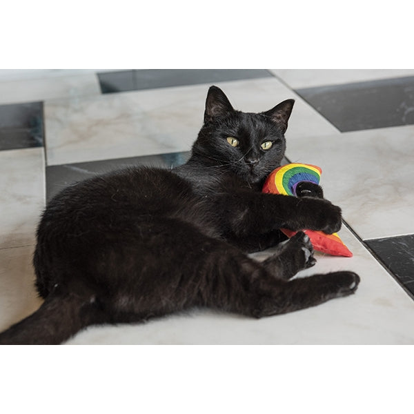 Yeowww Rainbow Cat Toy