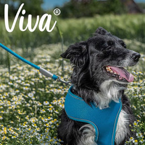 Viva Rope Dog Lead Reflective Black