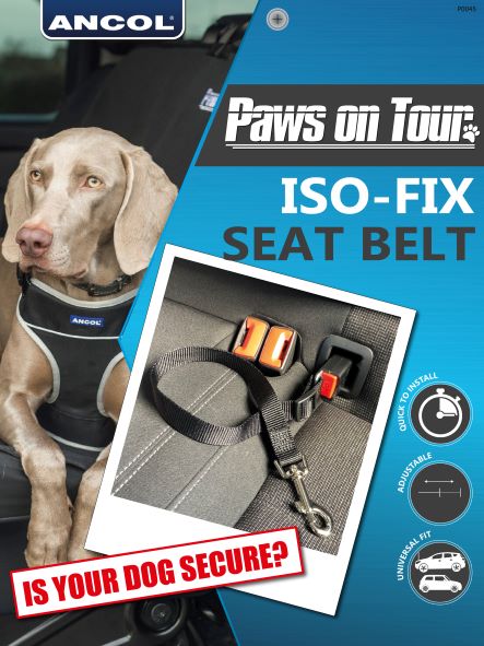 Isofix dog seat belt hotsell