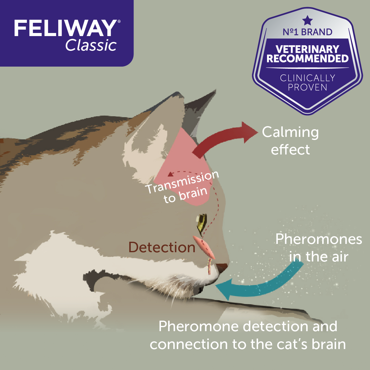 Feliway Classic 30-Day Refill for Diffuser