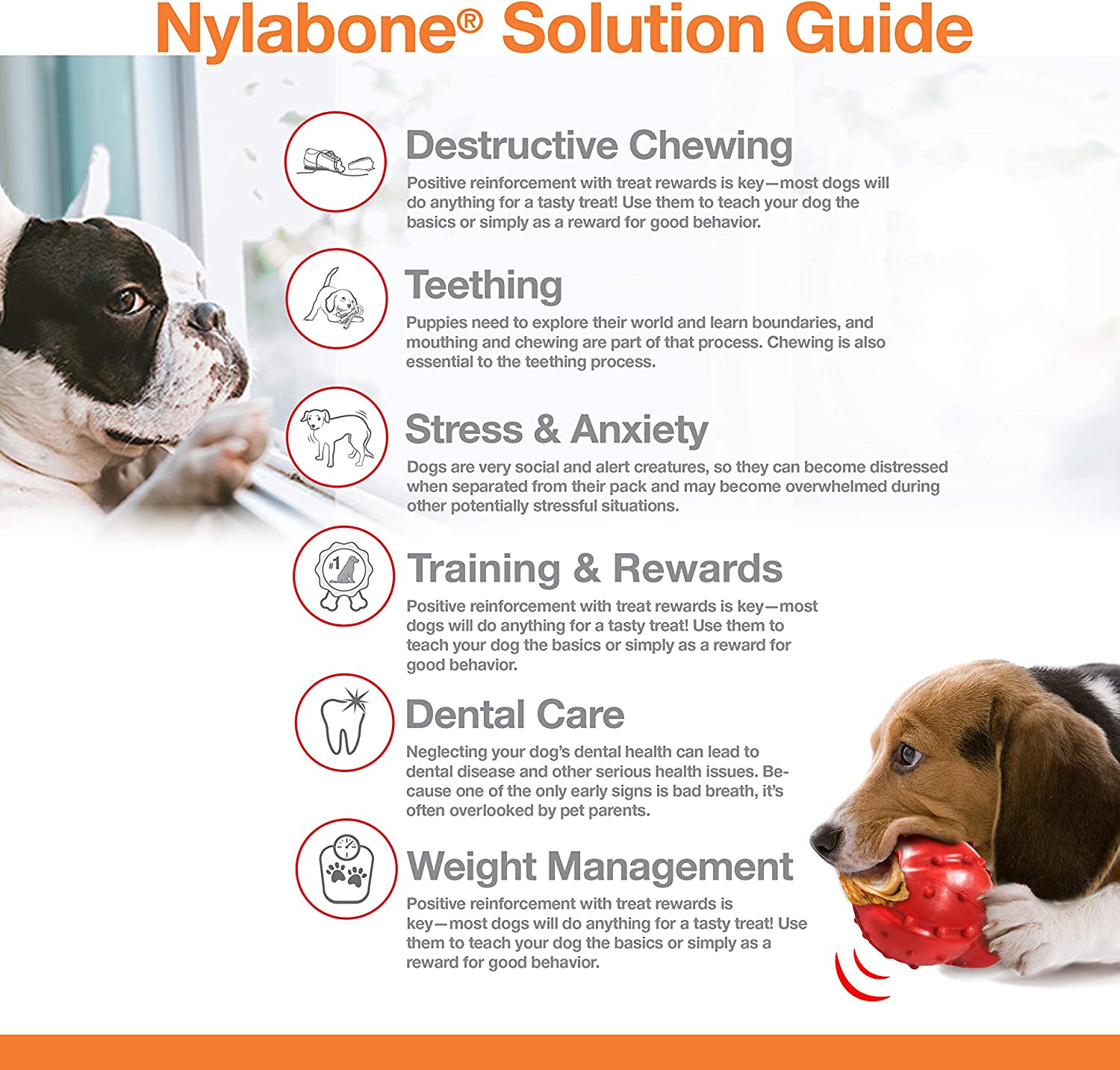 Nylabone Extreme Bone Chicken Medium