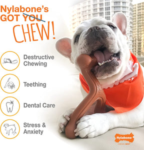 Nylabone Extreme Wishbone Medium