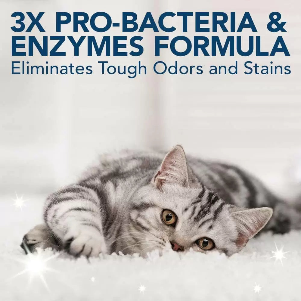 Extreme Stain & Odour Remover for Cats