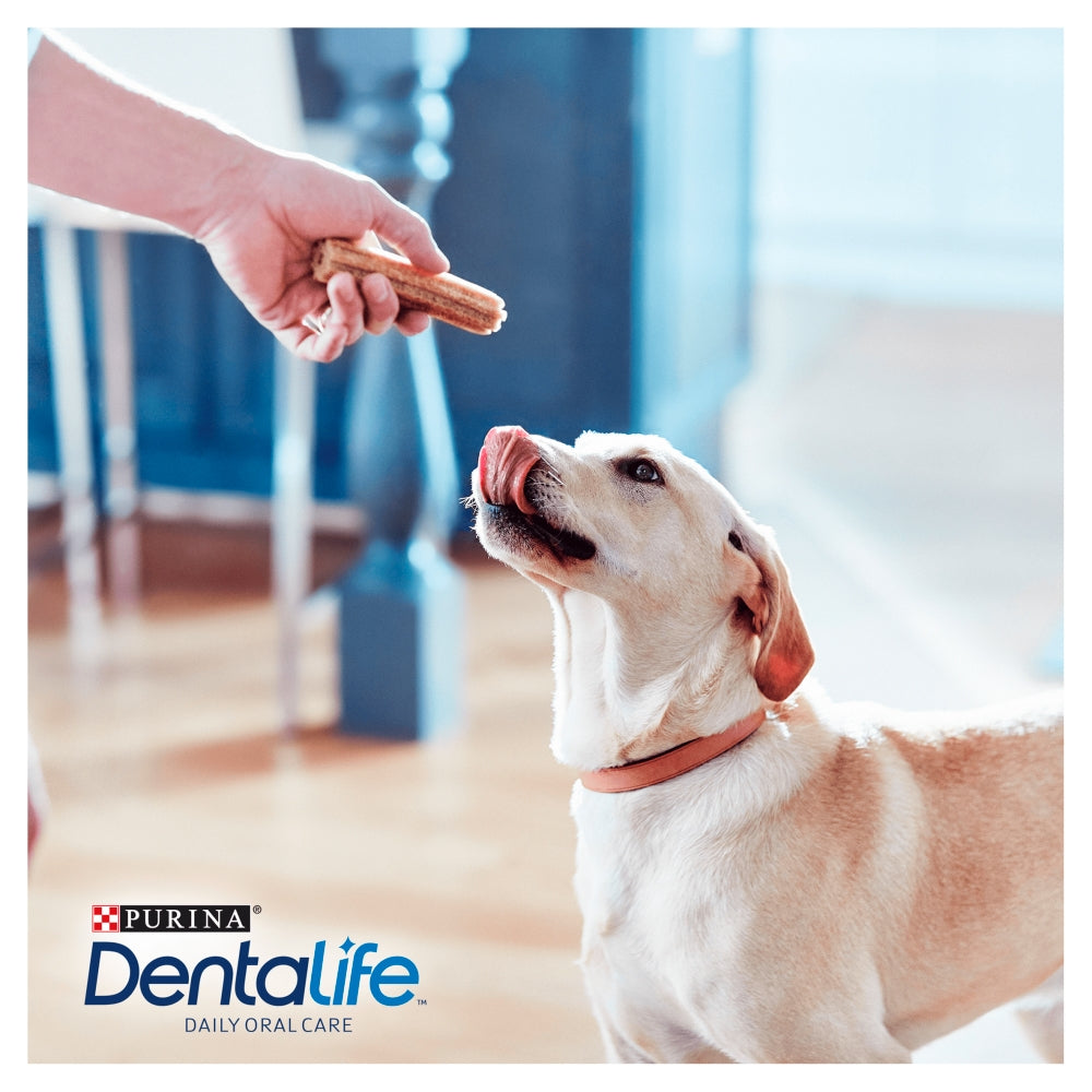 PURINA® Dentalife Dog Treat Dental Chew