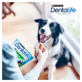 PURINA® Dentalife Dog Treat Dental Chew