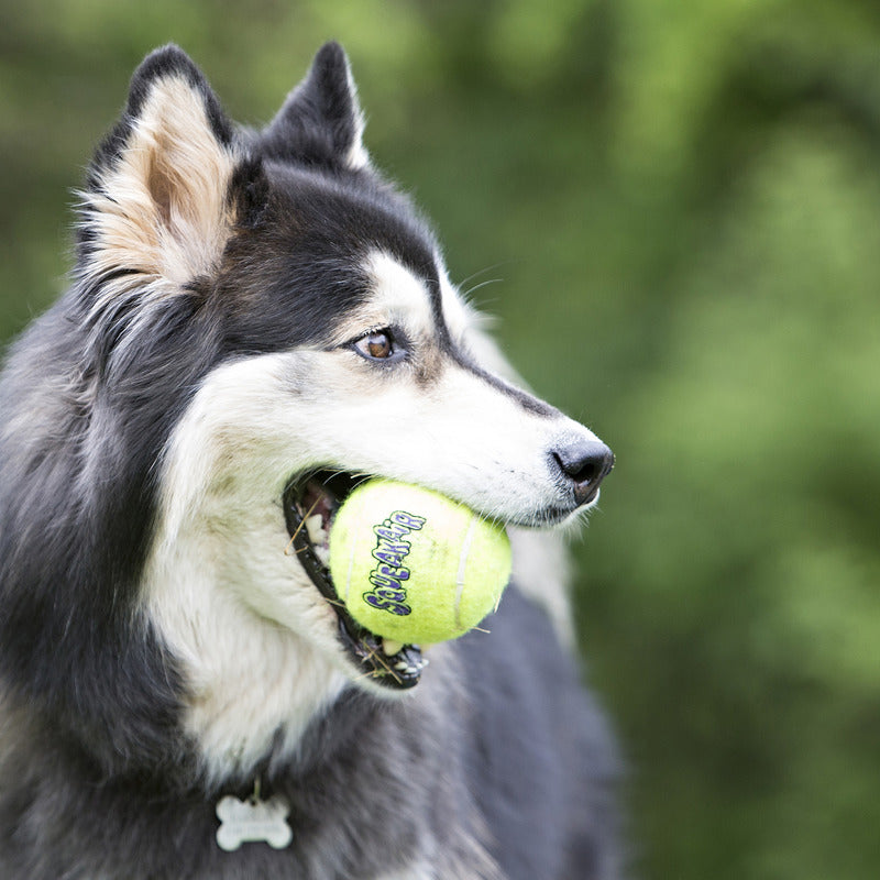 KONG SqueakAir® Tennis Ball Medium