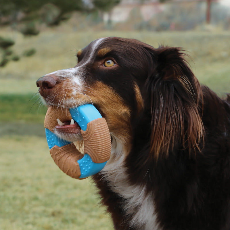 KONG CoreStrength Bamboo Bone Large