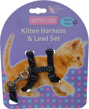 Spotty Snag-Free Kitten Harness And Lead Set