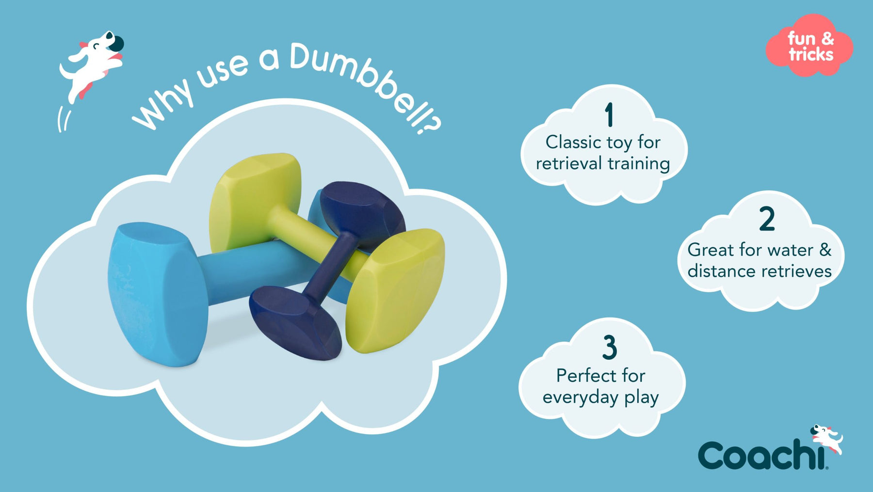 Coachi Training Dumbbell Lime Medium