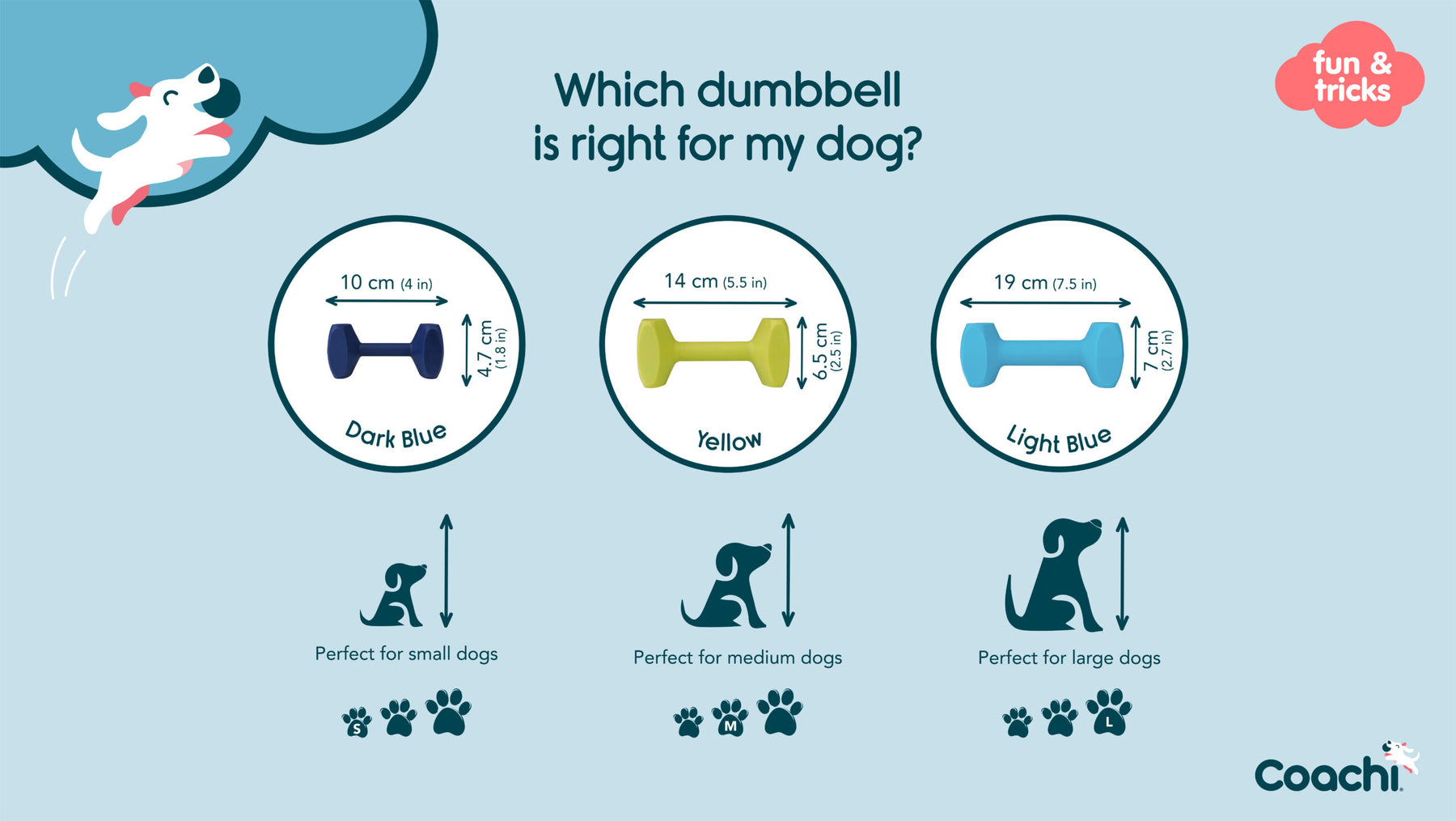 Coachi Training Dumbbell Lime Medium