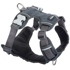 Red Dingo Padded Grey Dog Harness