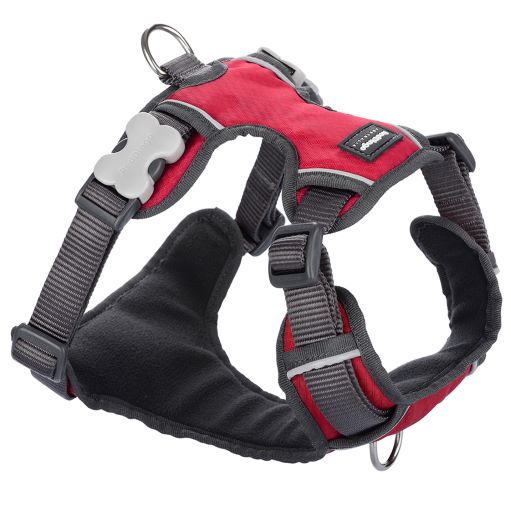 Red Dingo Padded Red Dog Harness