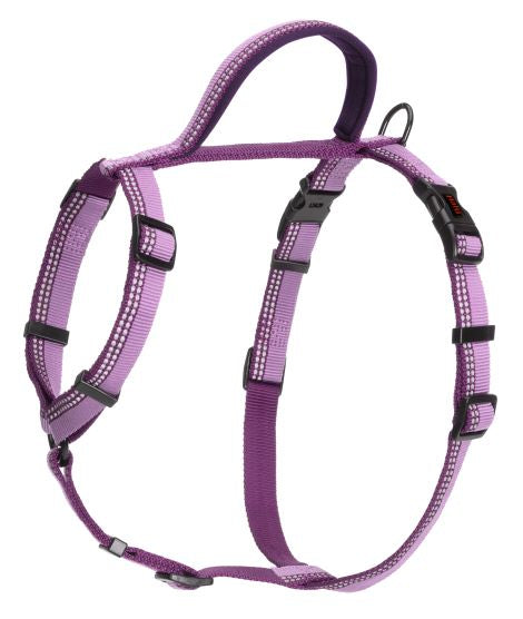 Halti Walking Dog Harness Purple