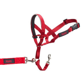 Halti Dog Headcollar Red