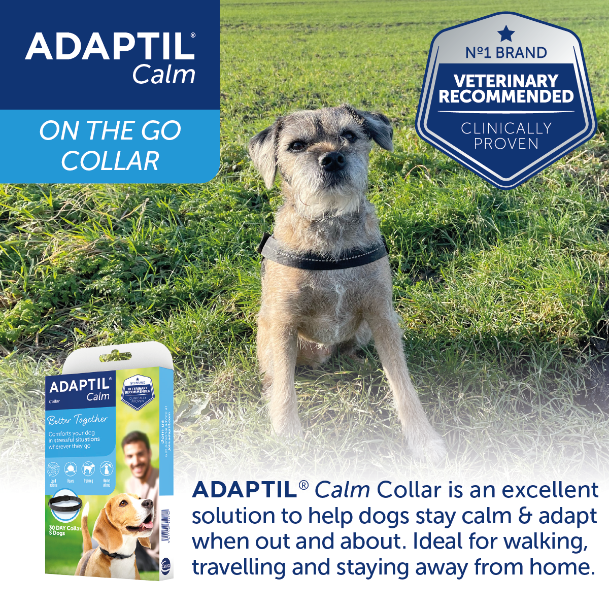 Adaptil Collar Calm on the Go