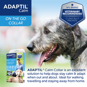 Adaptil Collar Calm on the Go