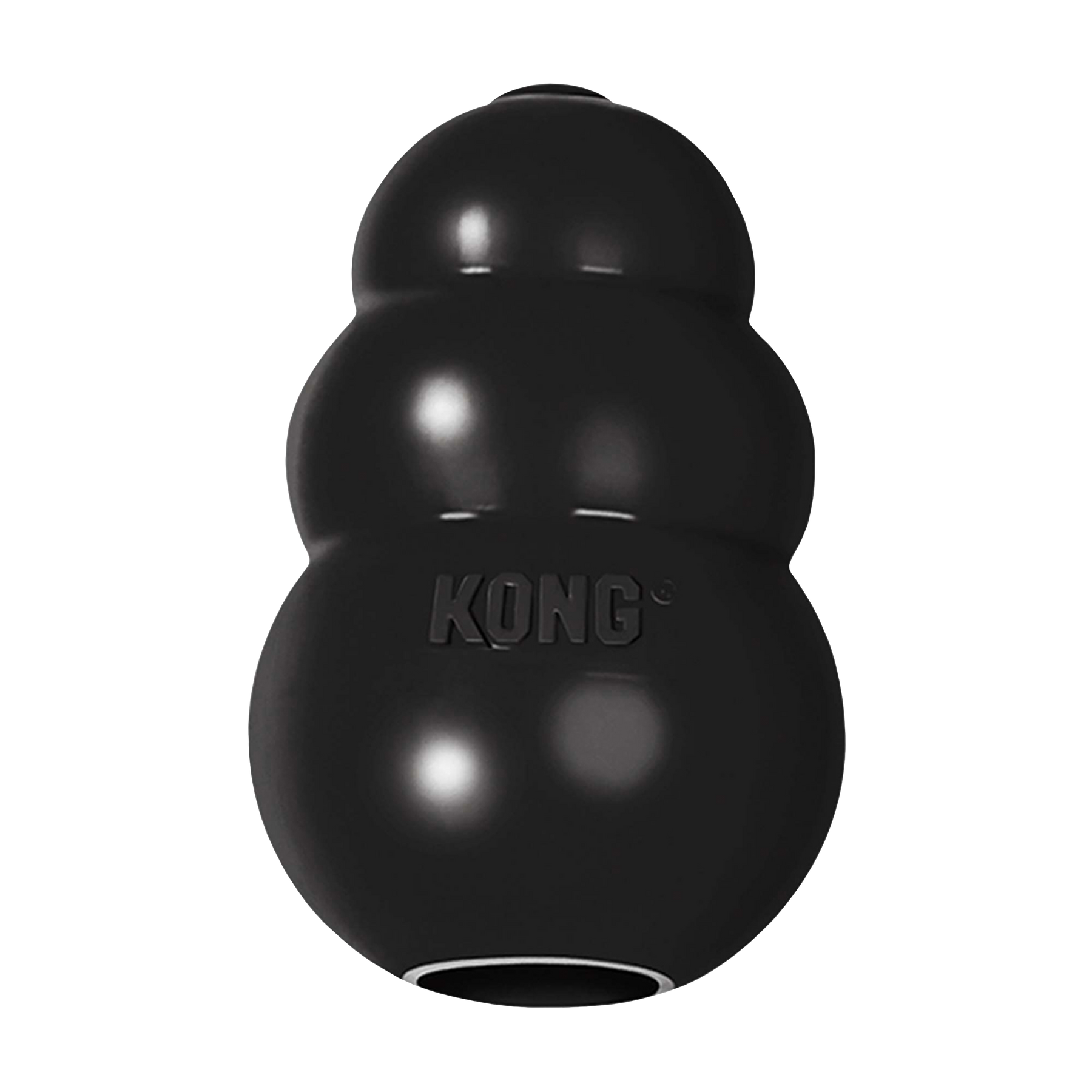 KONG Extreme Black Dog Toy