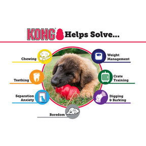 KONG Senior Toy