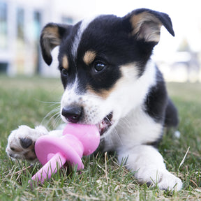 KONG Puppy Binkie (2 sizes)