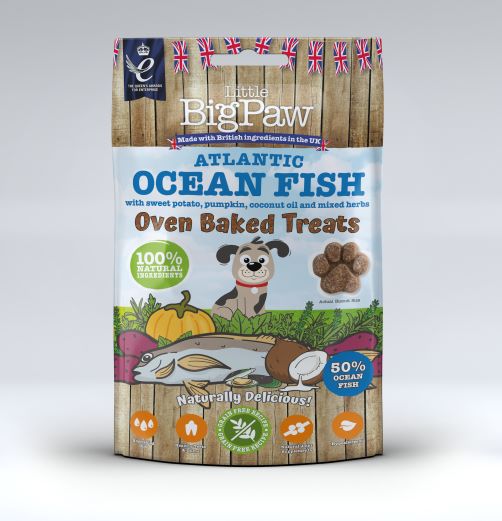 Little BigPaw Atlantic Ocean Fish Oven Baked Treats