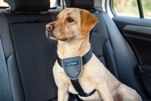 CarSafe Dog Travel Harness