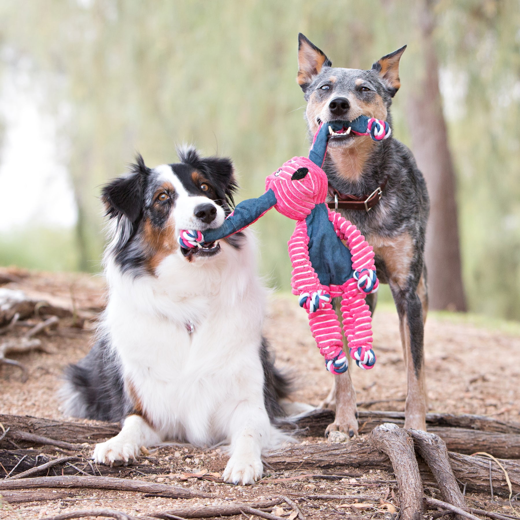 KONG Floppy Knots Hippo Dog Toy