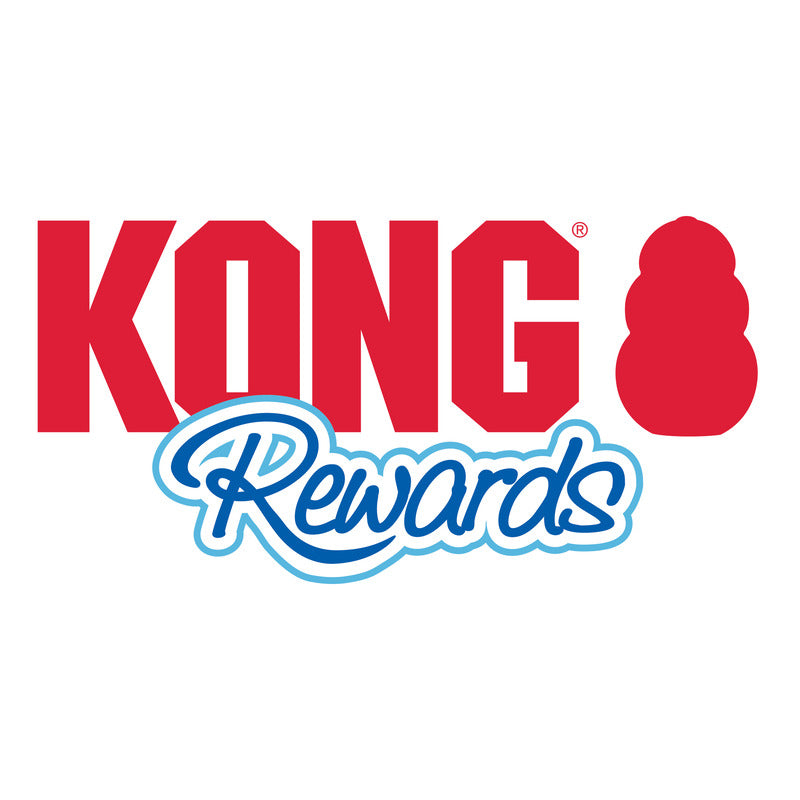 KONG Rewards Ball Large