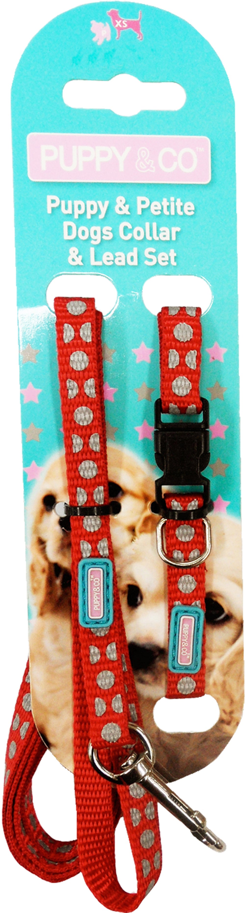 Puppy Reflective Collar & Lead Set