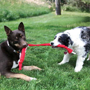 KONG Signature Crunch Rope