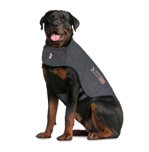 Thundershirt For Dogs Grey