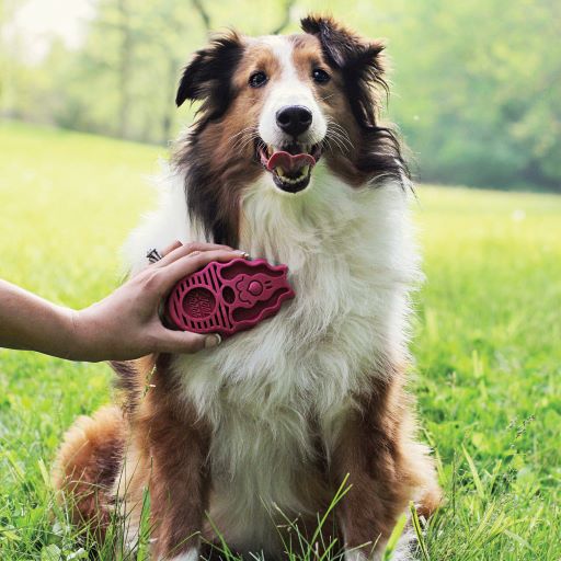 KONG ZoomGroom™ Raspberry For Dogs