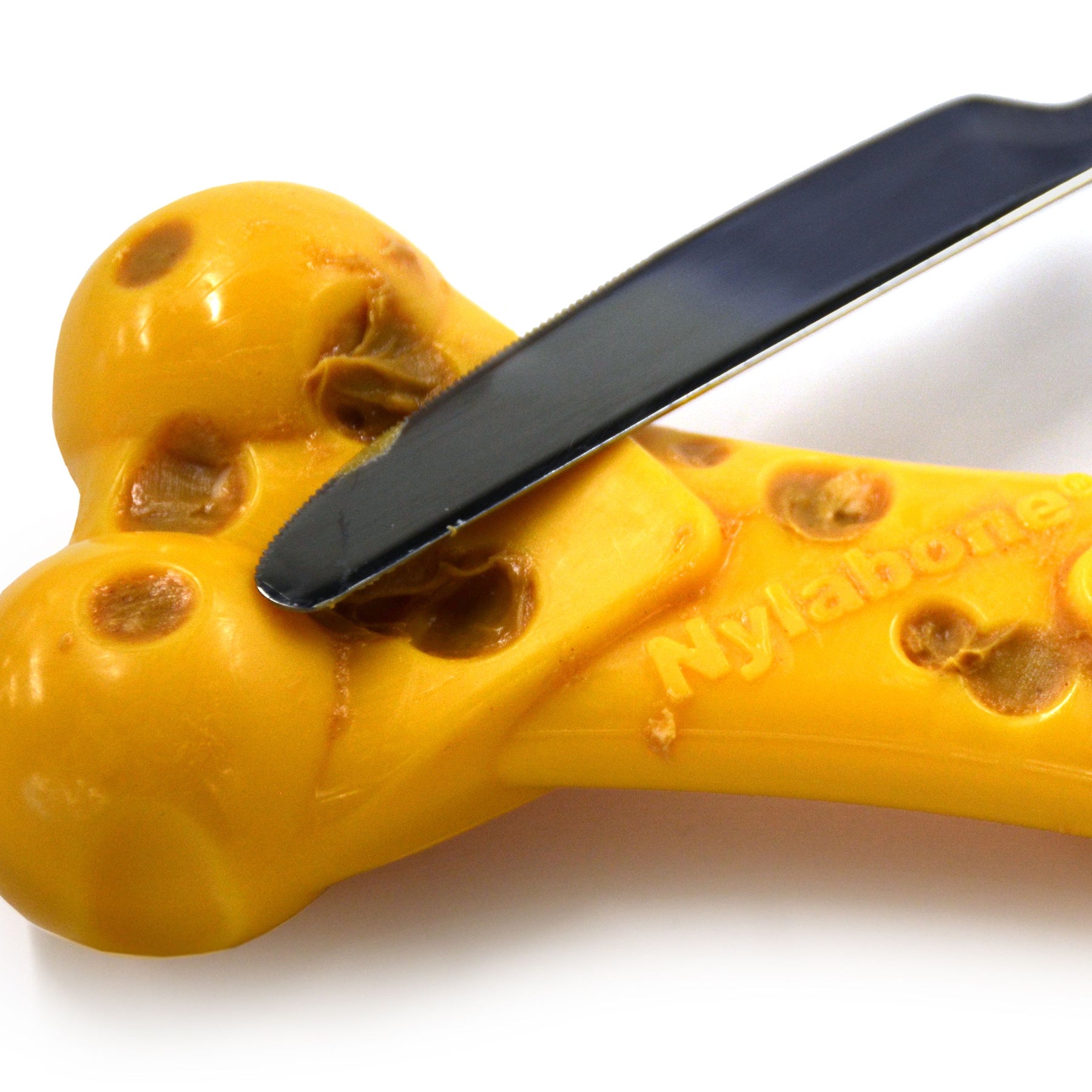 Nylabone Extreme Texture Cheese Bone