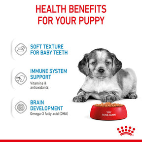 ROYAL CANIN SIZE HEALTH NUTRITION PUPPY - MEDIUM - Chunks in gravy