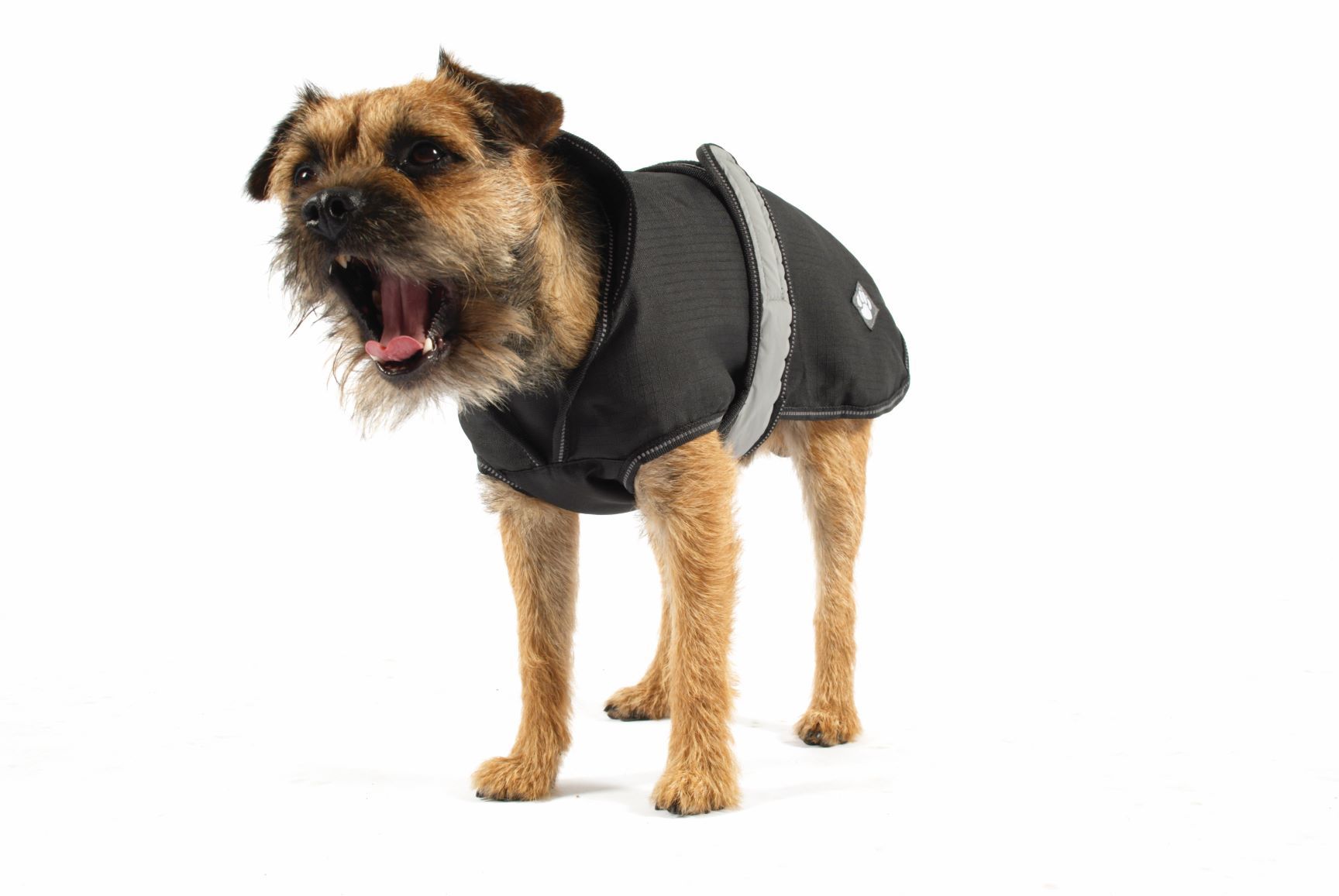 Danish Design 2 in 1 Dog Coat Black