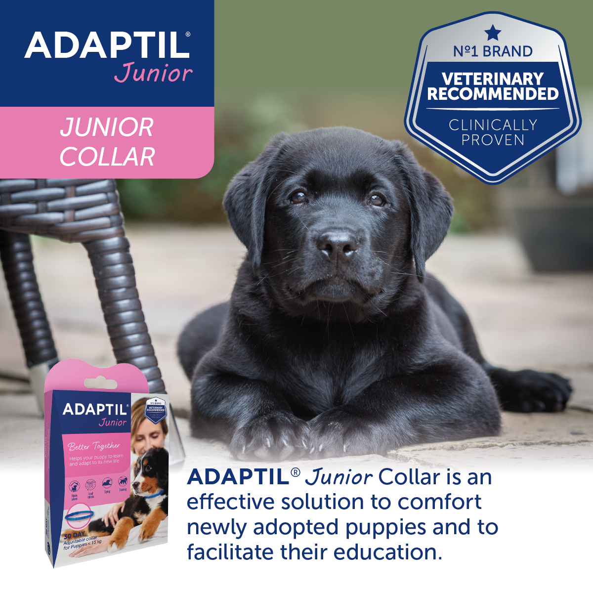 Adaptil Collar Junior