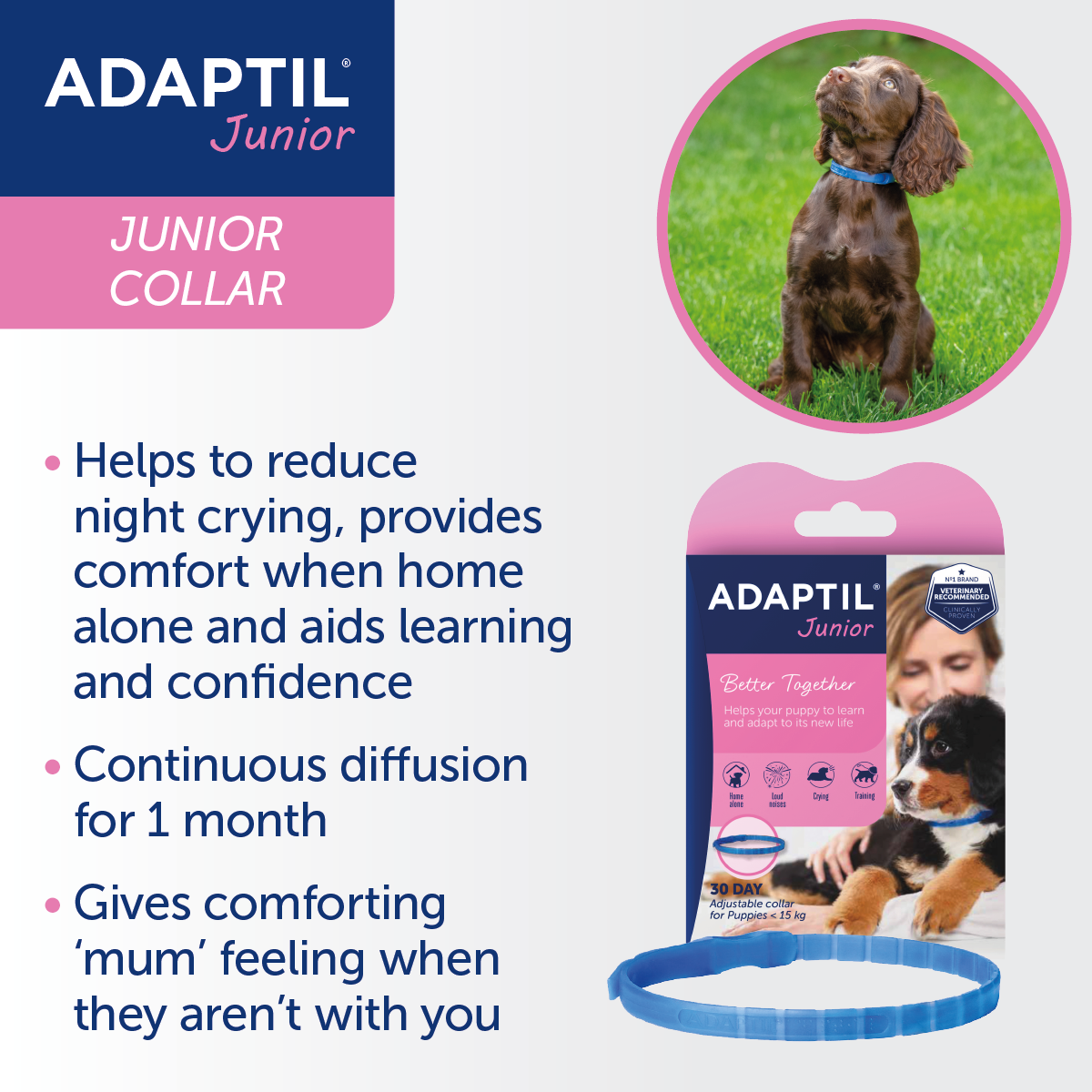 Adaptil Collar Junior