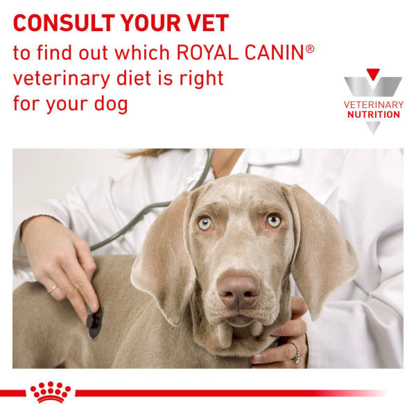 ROYAL CANIN® Veterinary Health Nutrition Renal Wet Dog Food