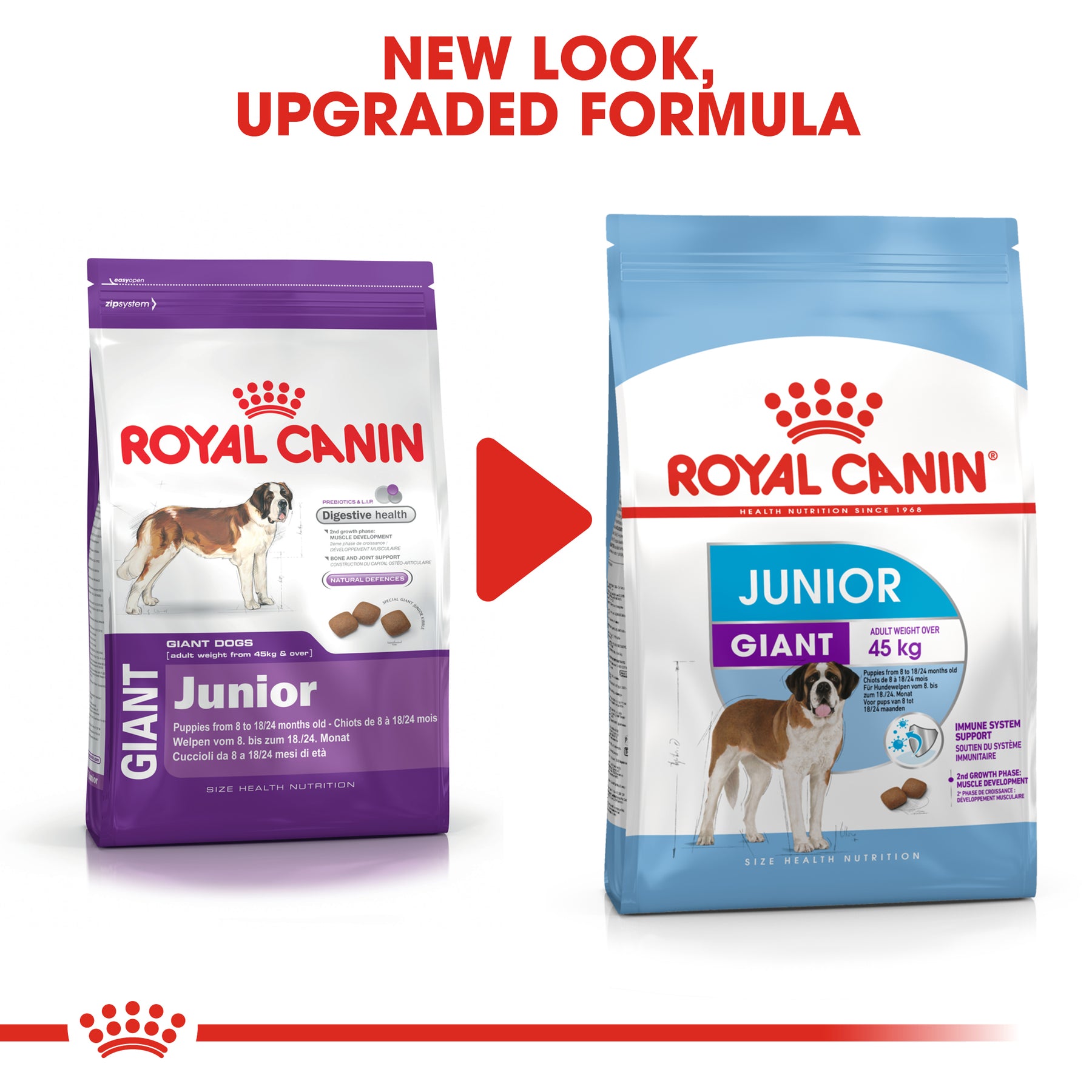 Junior giant royal canin best sale