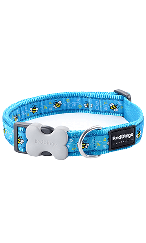 Red Dingo Bumble Bee Turquoise Dog Collar